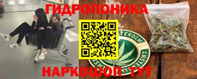 соль ск Брянск