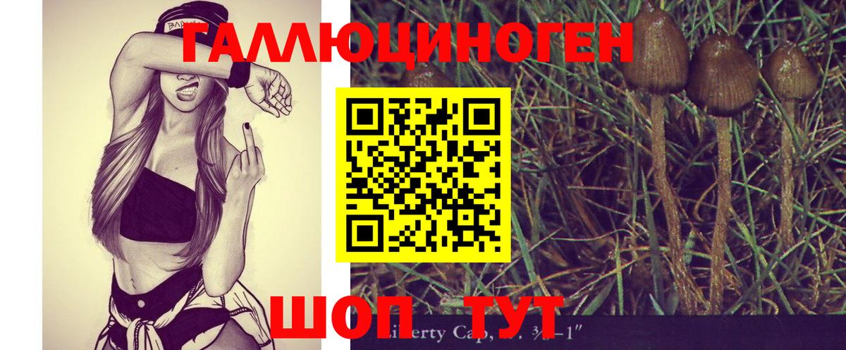 Псилоцибиновые грибы Cubensis Белово
