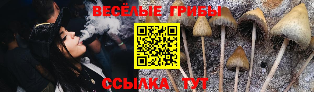 Белово  Псилоцибиновые грибы мицелий  Вход с VPN 